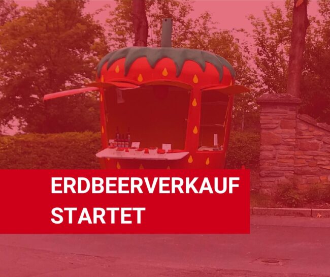 Start_Erdbeerverkauf_SN
