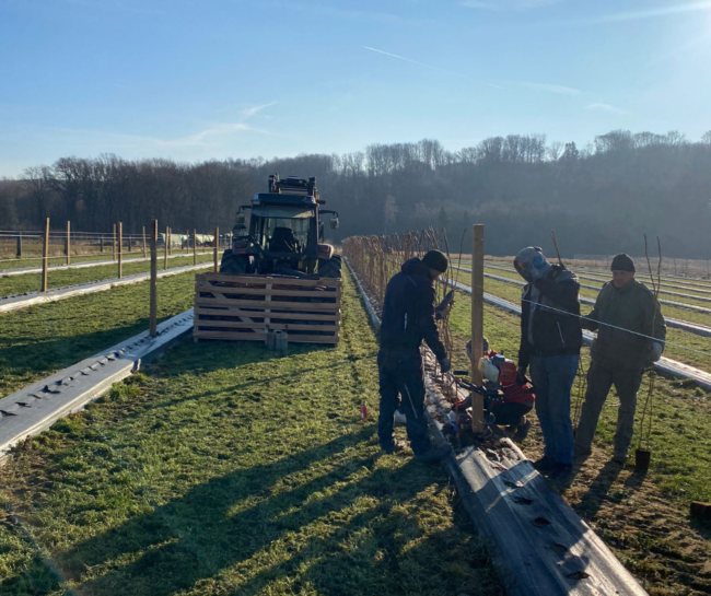 Saisonvorbereitungen