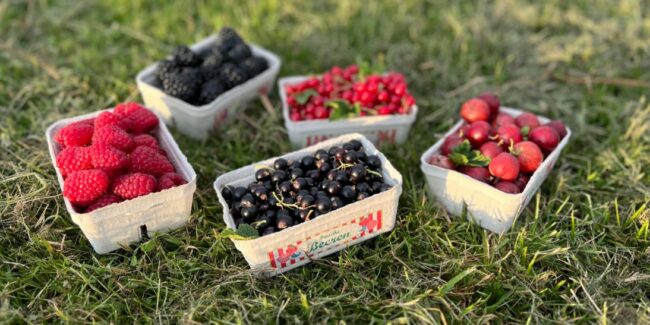 269EA5D0-68C1-4FF1-88D5-C7A762FE6D87