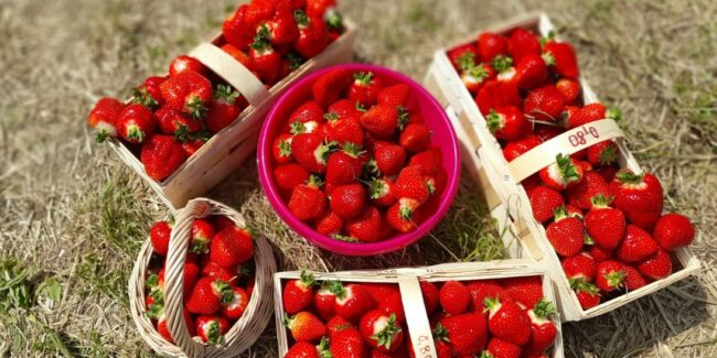 A3F91BB9-2CD2-456B-B915-91FC519573C1