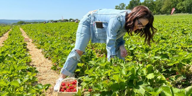 Selbstpflücken_Emilia