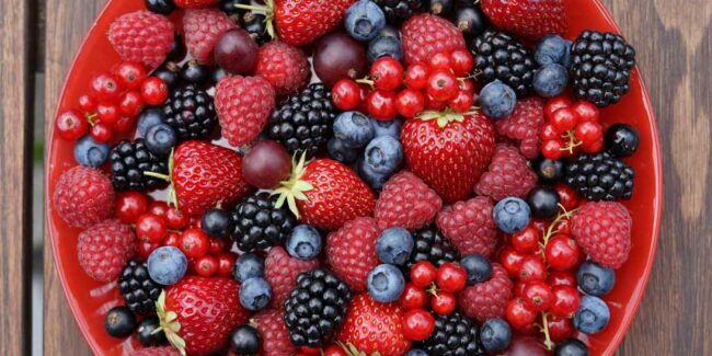 Beerenparadies_Ardey