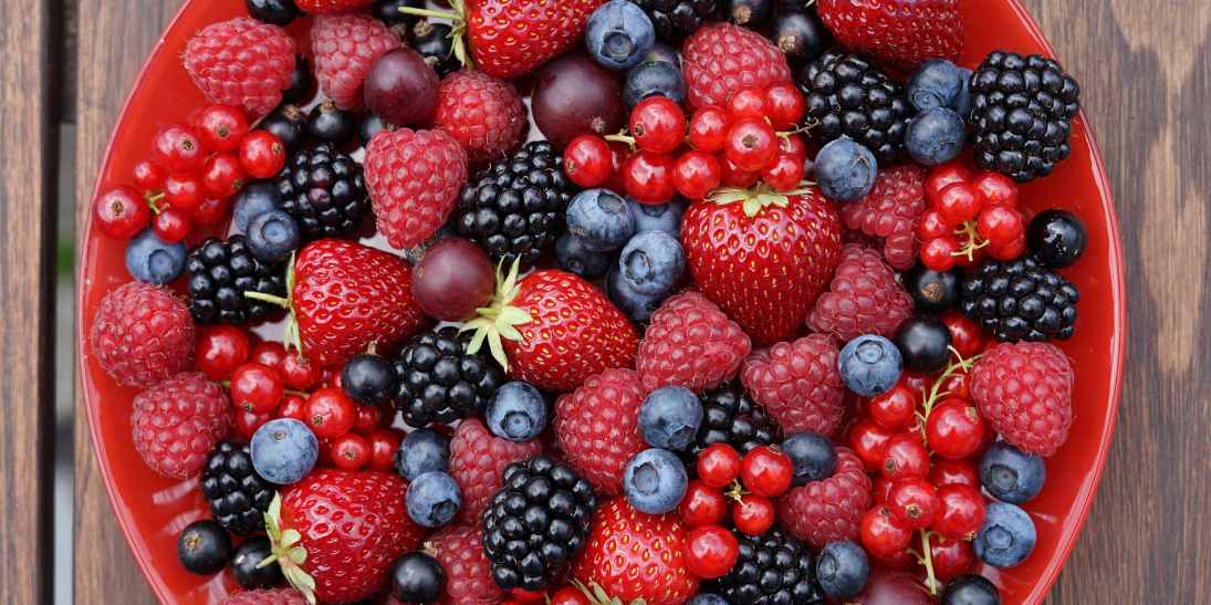 Beerenparadies_Ardey