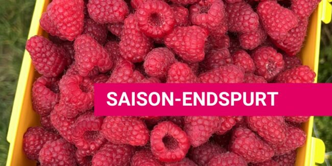 Himbeeren_Saisonende