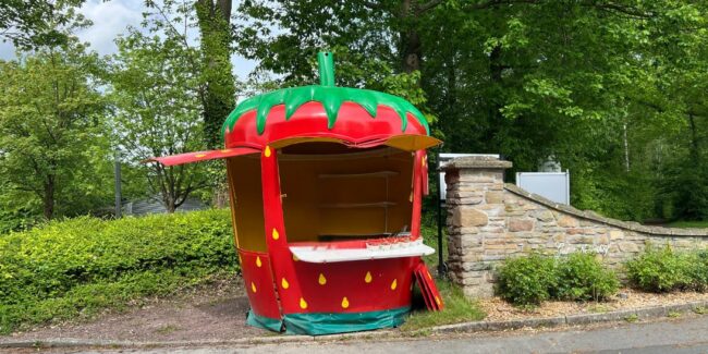 Erdbeere_Eulenstraße